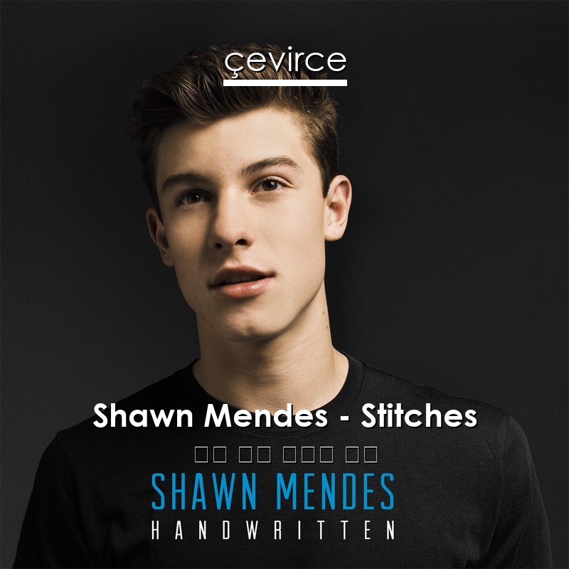 Shawn Mendes – Stitches 英語 歌詞 中國人 翻譯