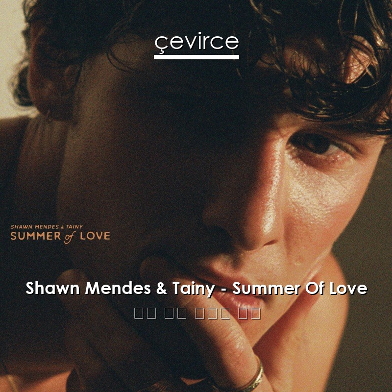 Shawn Mendes & Tainy – Summer Of Love 英語 歌詞 中國人 翻譯