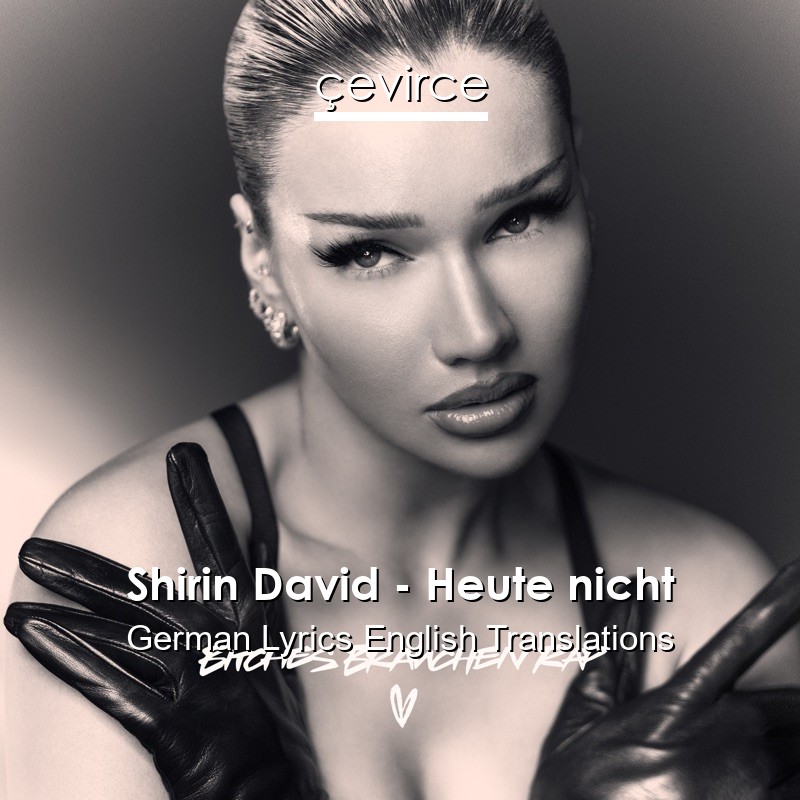 Shirin David – Heute nicht German Lyrics English Translations