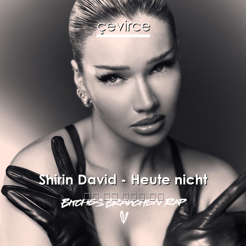 Shirin David – Heute nicht 德語 歌詞 中國人 翻譯