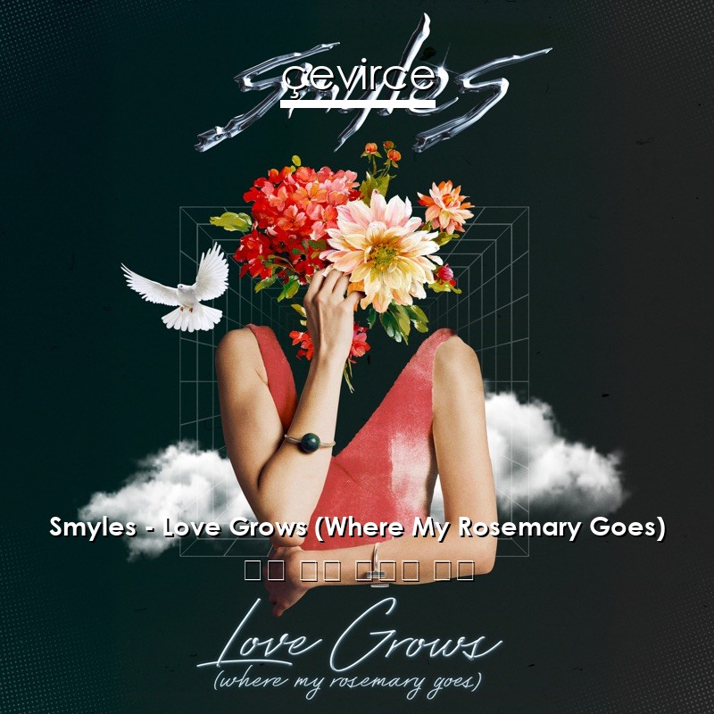 Smyles – Love Grows (Where My Rosemary Goes) 英語 歌詞 中國人 翻譯