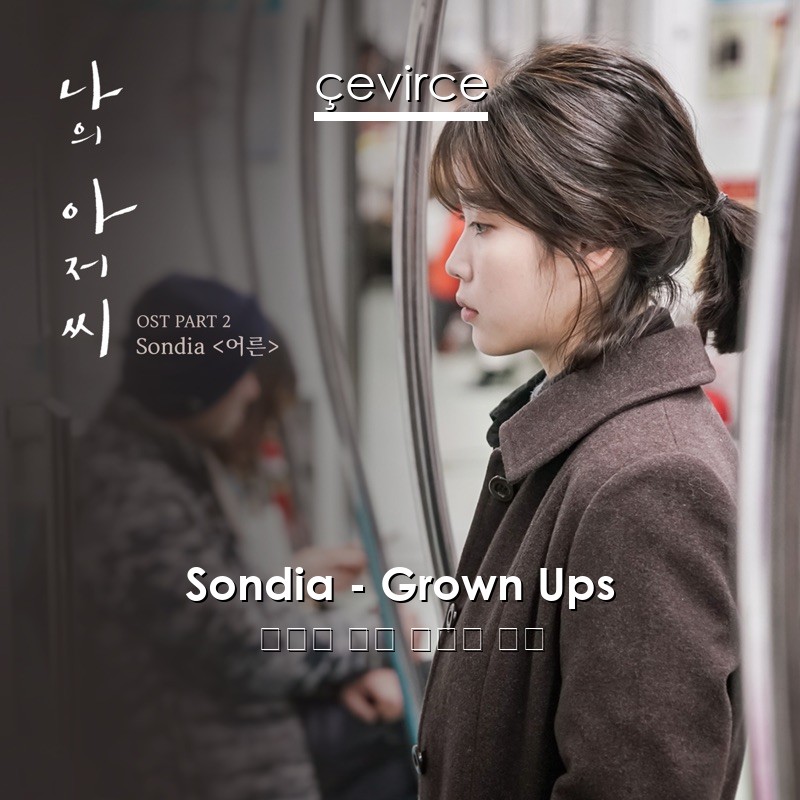 Sondia – Grown Ups 韓國人 歌詞 中國人 翻譯