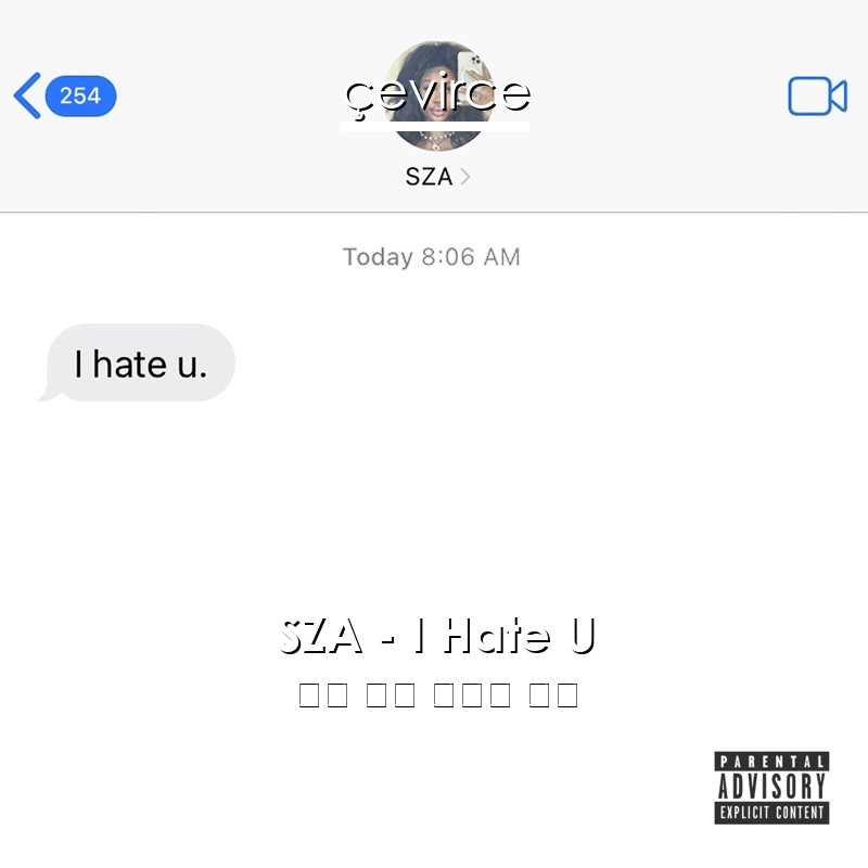 SZA – I Hate U 英語 歌詞 中國人 翻譯