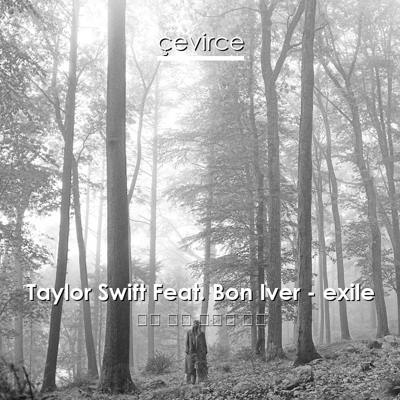 Taylor Swift Feat. Bon Iver – exile 英語 歌詞 中國人 翻譯