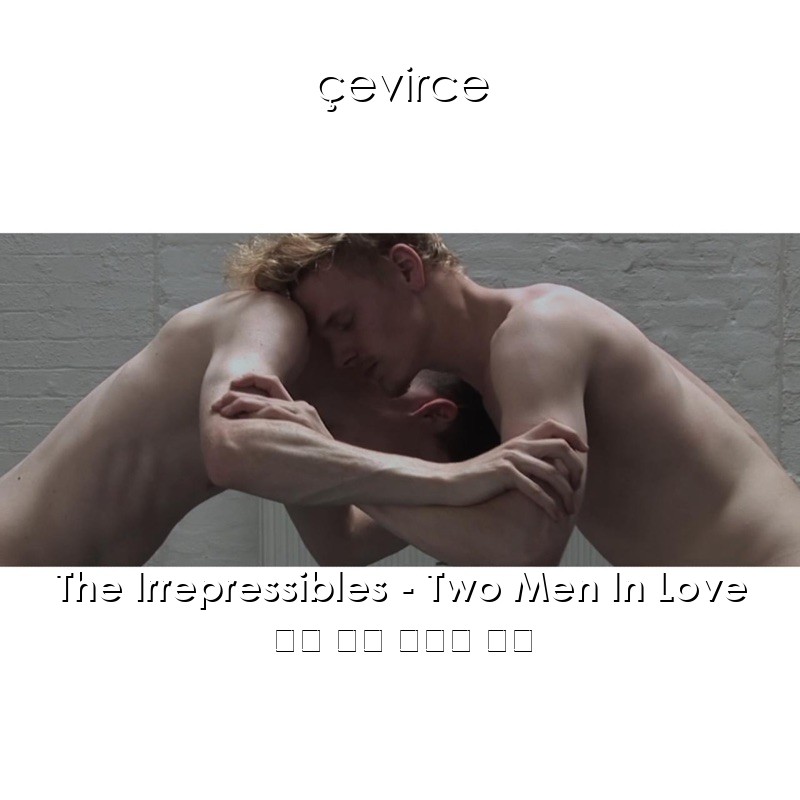 The Irrepressibles – Two Men In Love 英語 歌詞 中國人 翻譯