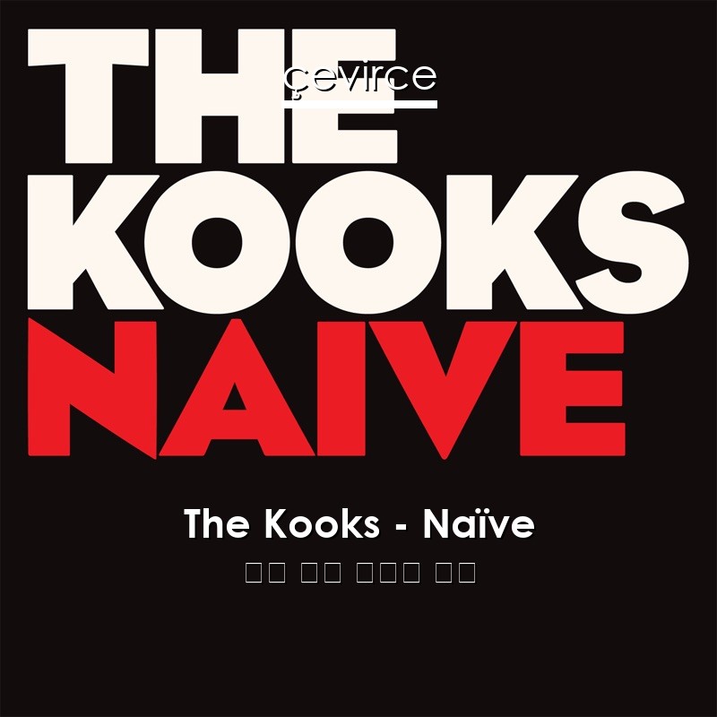 The Kooks – Naïve 英語 歌詞 中國人 翻譯