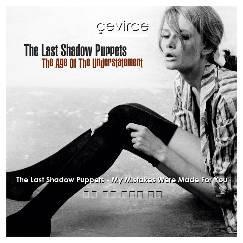 The Last Shadow Puppets – My Mistakes Were Made For You 英語 歌詞 中國人 翻譯