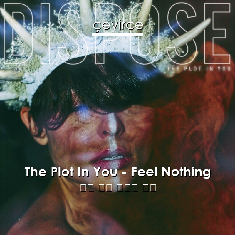 The Plot In You – Feel Nothing 英語 歌詞 中國人 翻譯