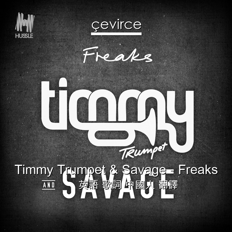 Timmy Trumpet & Savage – Freaks 英語 歌詞 中國人 翻譯