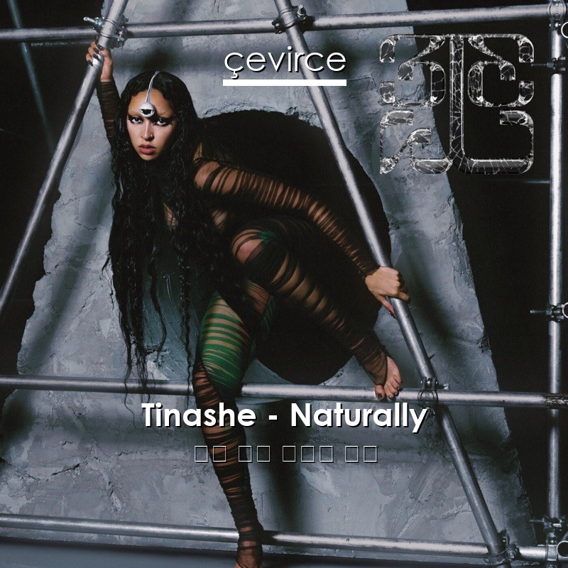 Tinashe – Naturally 英語 歌詞 中國人 翻譯