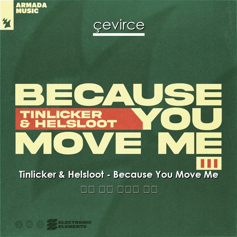 Tinlicker & Helsloot – Because You Move Me 英語 歌詞 中國人 翻譯