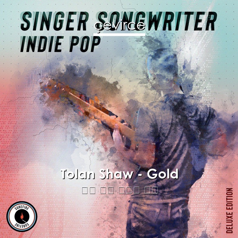 Tolan Shaw – Gold 英語 歌詞 中國人 翻譯