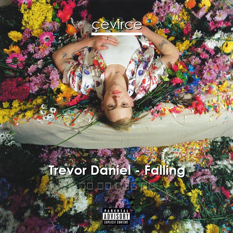 Trevor Daniel – Falling 英語 歌詞 中國人 翻譯