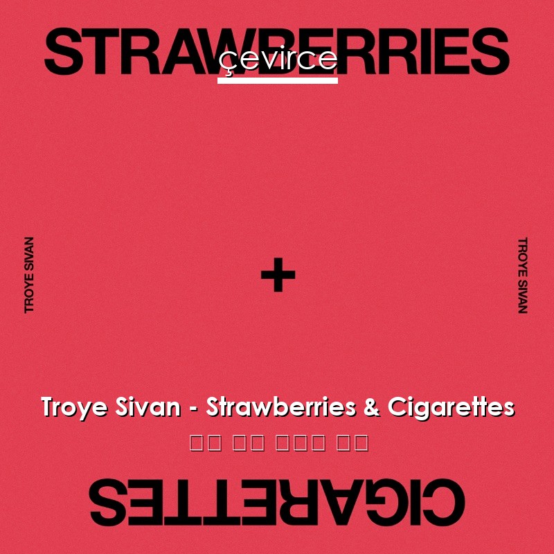 Troye Sivan – Strawberries & Cigarettes 英語 歌詞 中國人 翻譯