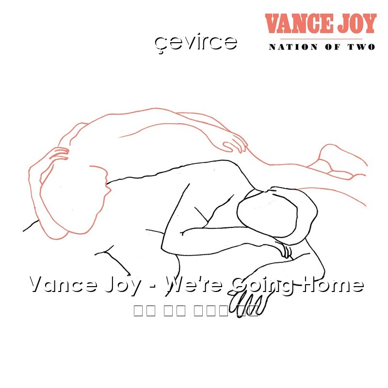 Vance Joy – We’re Going Home 英語 歌詞 中國人 翻譯