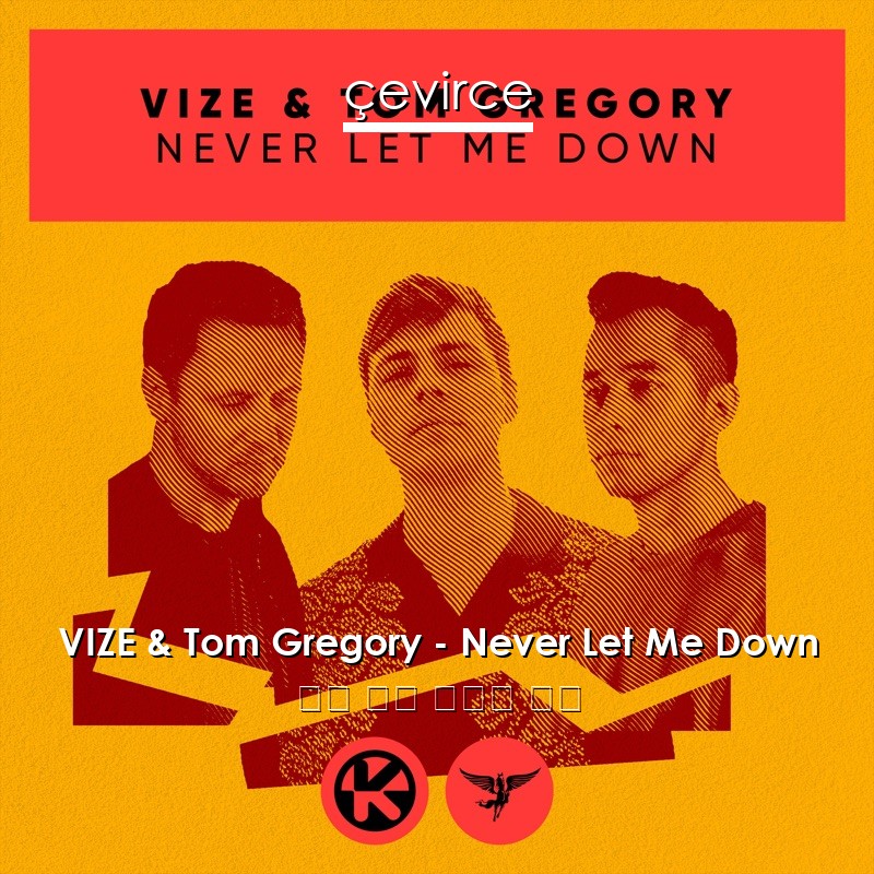 VIZE & Tom Gregory – Never Let Me Down 英語 歌詞 中國人 翻譯