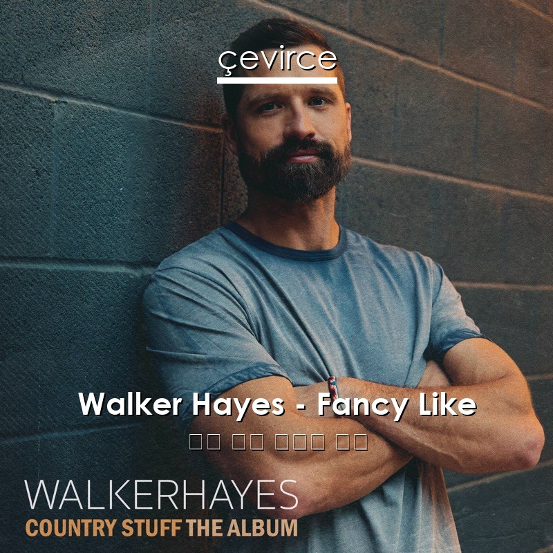 Walker Hayes – Fancy Like 英語 歌詞 中國人 翻譯