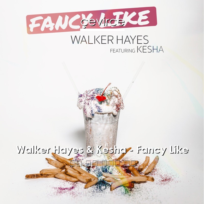 Walker Hayes & Kesha – Fancy Like 英語 歌詞 中國人 翻譯