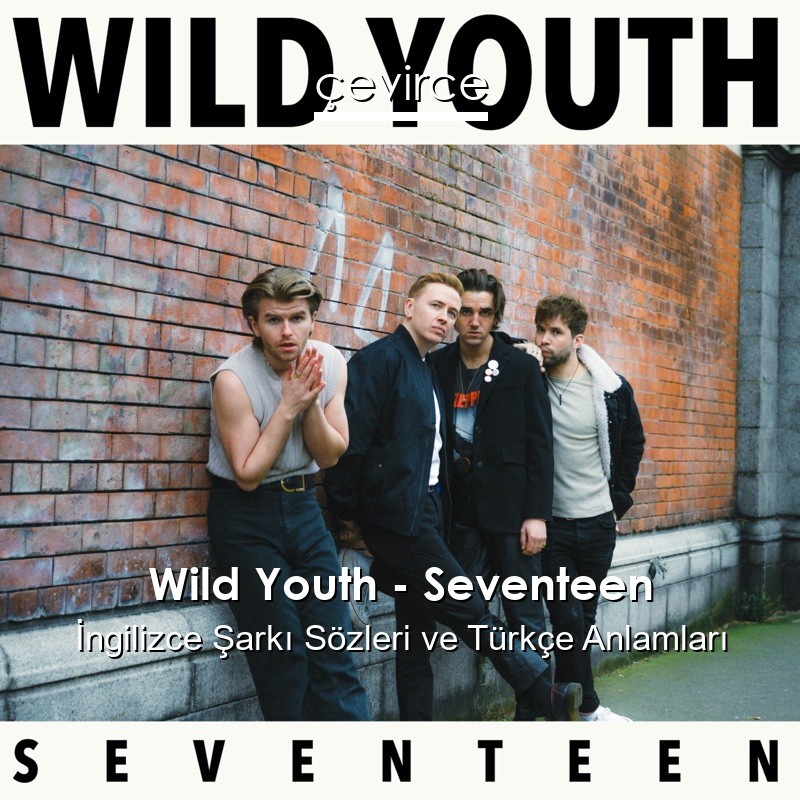Wild Youth – Seventeen İngilizce Şarkı Sözleri Türkçe Anlamları