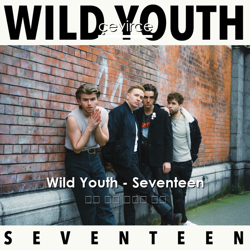 Wild Youth – Seventeen 英語 歌詞 中國人 翻譯