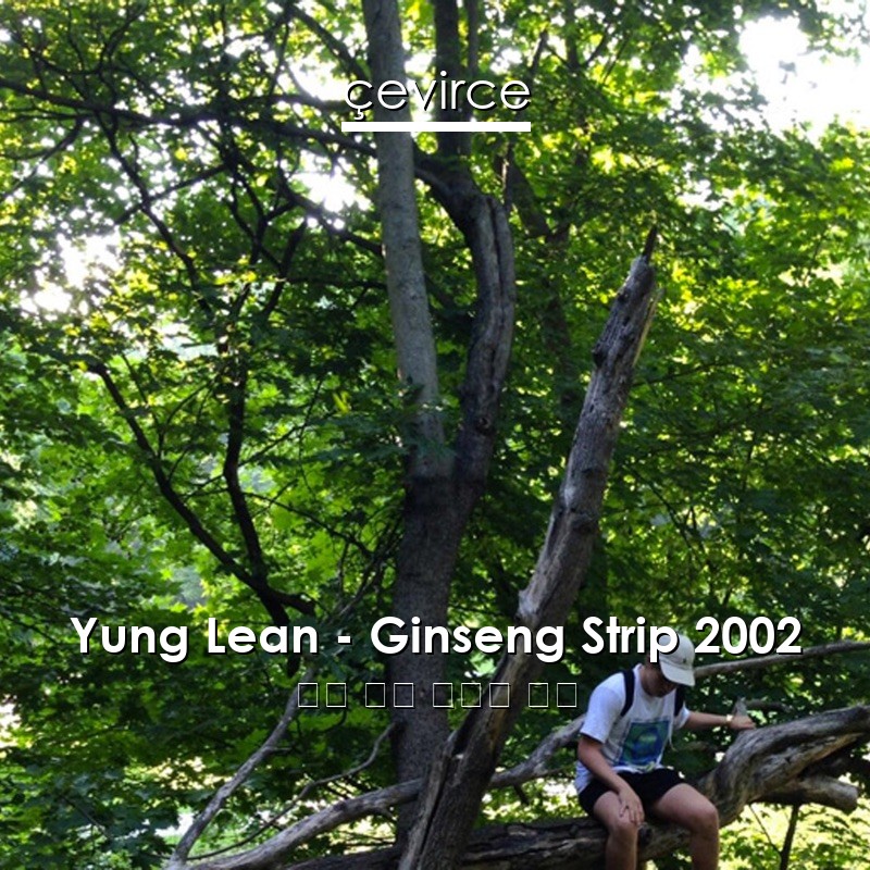 Yung Lean – Ginseng Strip 2002 英語 歌詞 中國人 翻譯