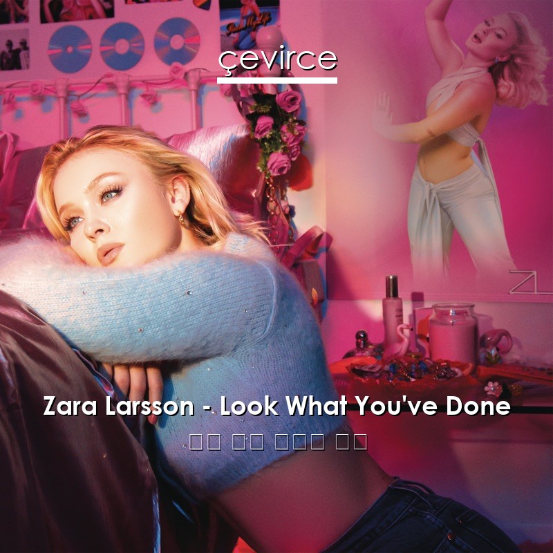 Zara Larsson – Look What You’ve Done 英語 歌詞 中國人 翻譯