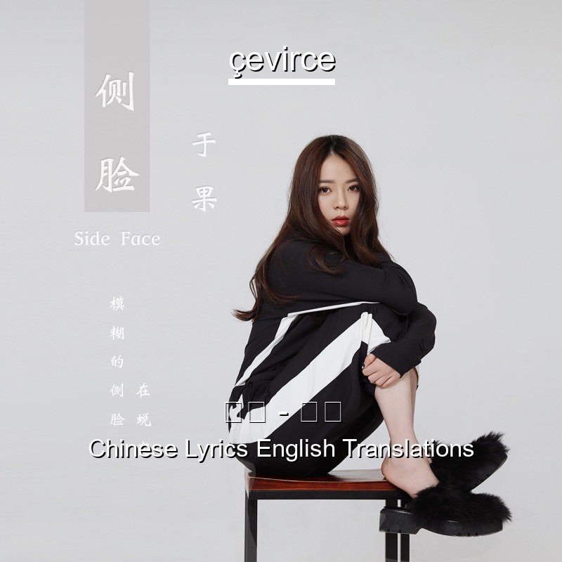 于果 – 侧脸 Chinese Lyrics English Translations