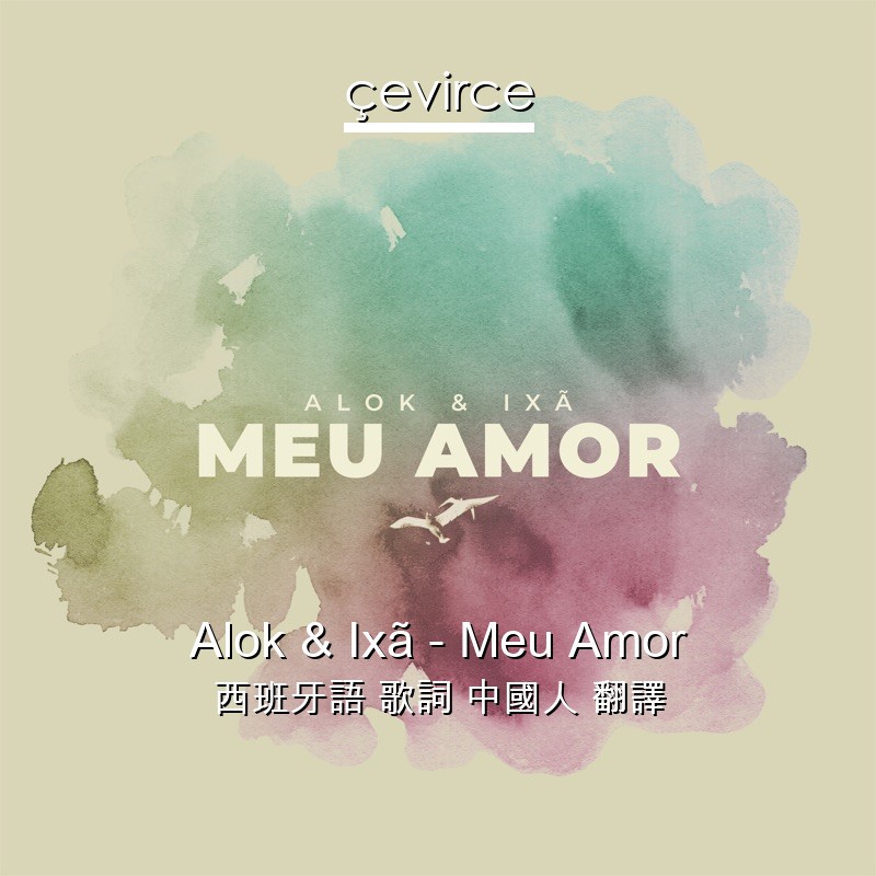 Alok & Ixã – Meu Amor 西班牙語 歌詞 中國人 翻譯