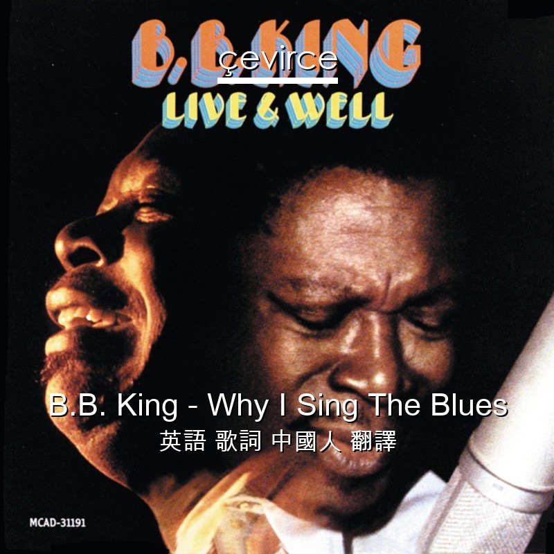 B.B. King – Why I Sing The Blues 英語 歌詞 中國人 翻譯