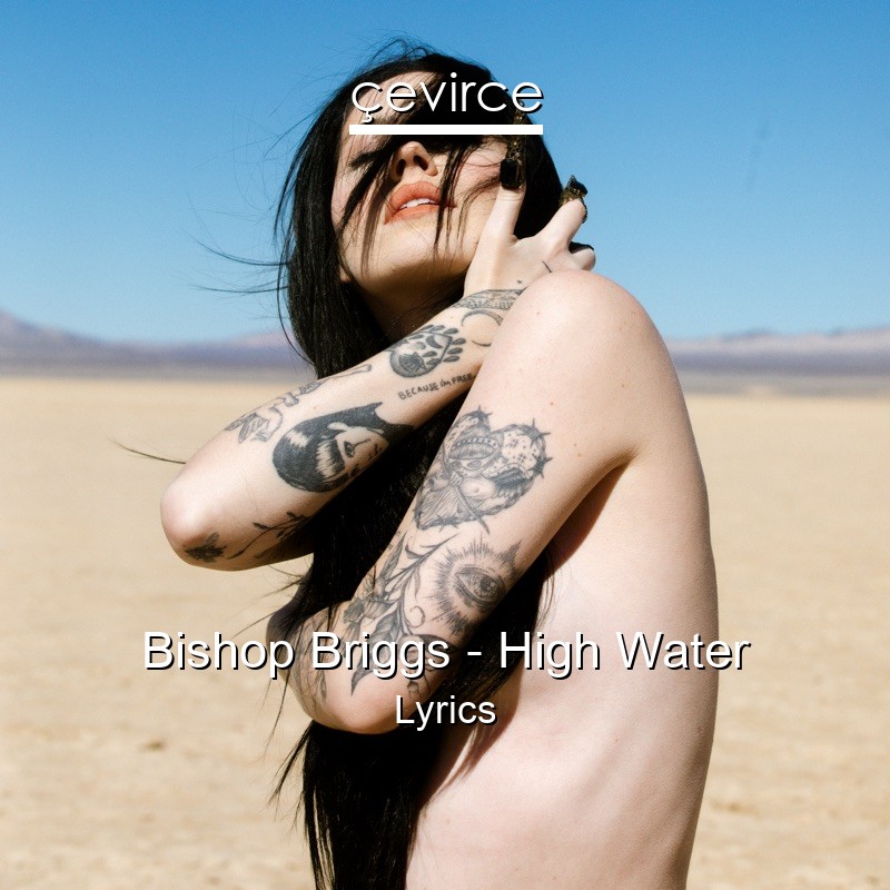 Bishop Briggs – High Water Lyrics