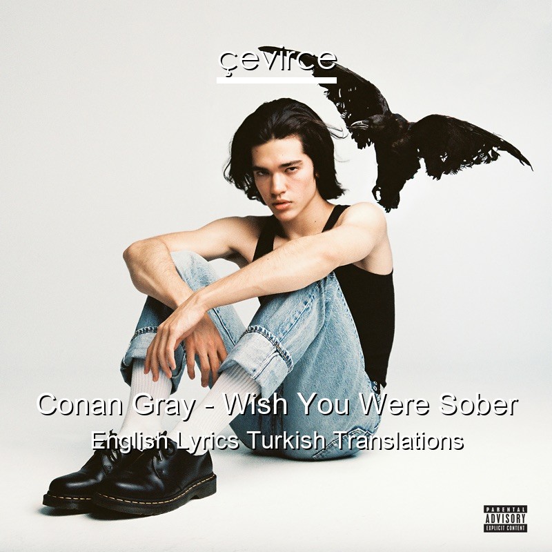 Conan Gray – Wish You Were Sober English Lyrics Turkish Translations