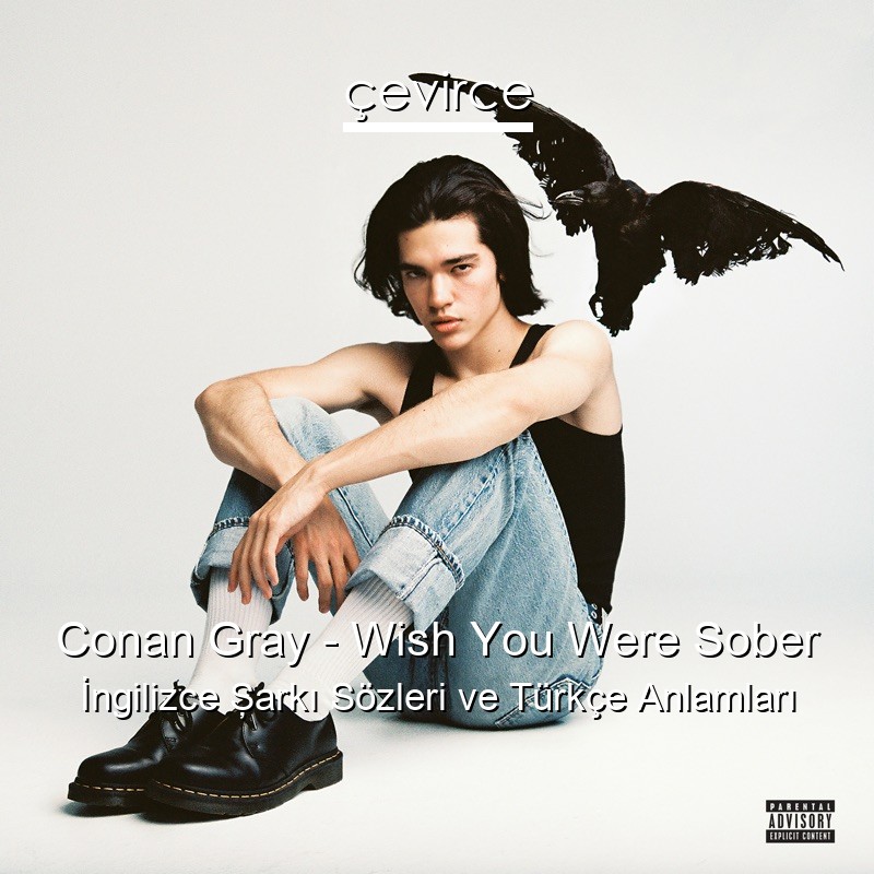 Conan Gray – Wish You Were Sober İngilizce Şarkı Sözleri Türkçe Anlamları