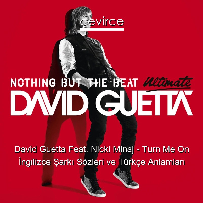 David Guetta Feat. Nicki Minaj – Turn Me On İngilizce Şarkı Sözleri Türkçe Anlamları