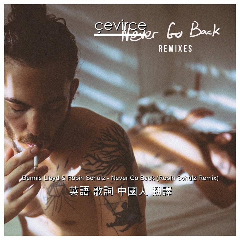 Dennis Lloyd & Robin Schulz – Never Go Back (Robin Schulz Remix) 英語 歌詞 中國人 翻譯