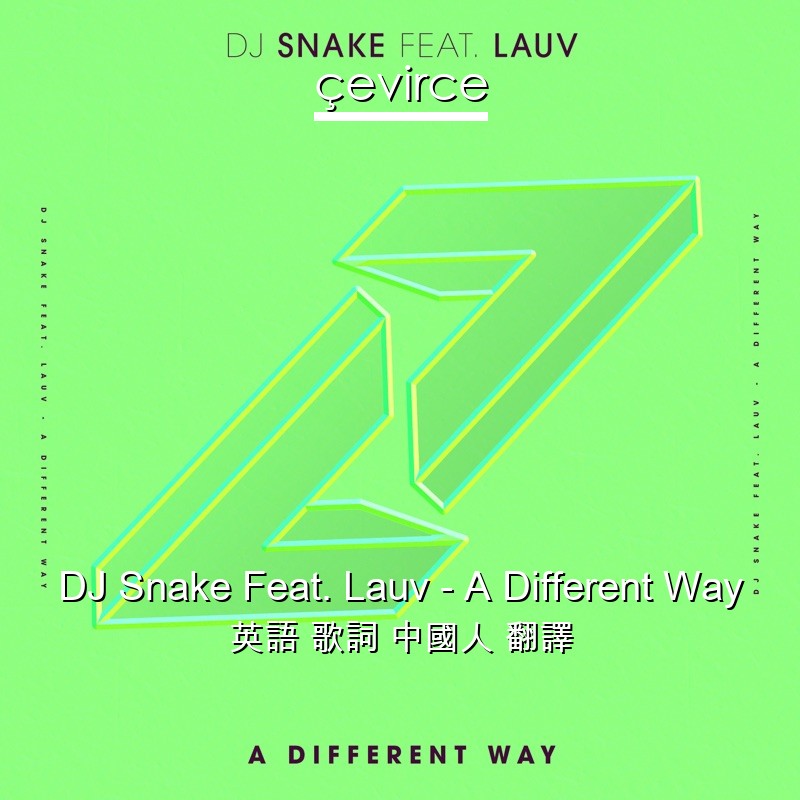 DJ Snake Feat. Lauv – A Different Way 英語 歌詞 中國人 翻譯