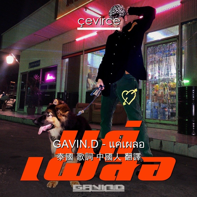 GAVIN.D – แค่เผลอ 泰國 歌詞 中國人 翻譯