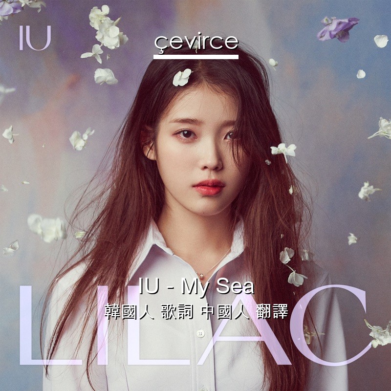 IU – My Sea 韓國人 歌詞 中國人 翻譯