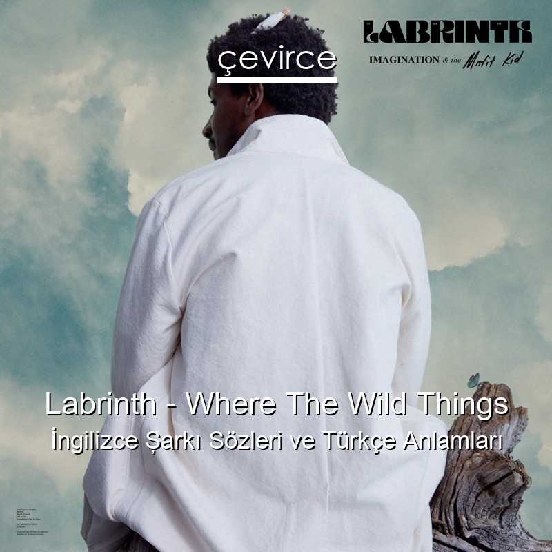 Labrinth – Where The Wild Things İngilizce Şarkı Sözleri Türkçe Anlamları