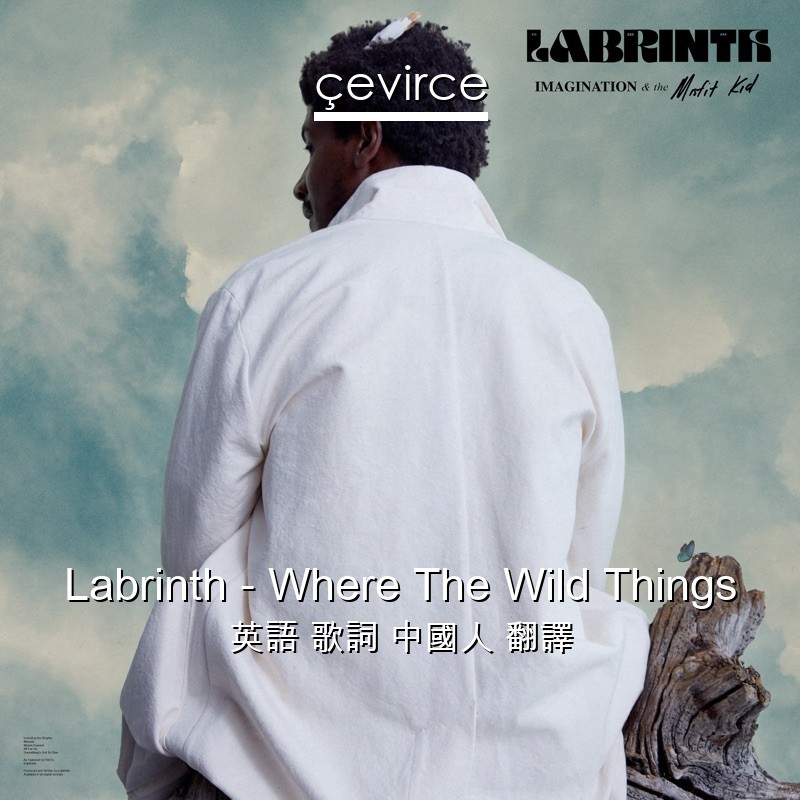 Labrinth – Where The Wild Things 英語 歌詞 中國人 翻譯