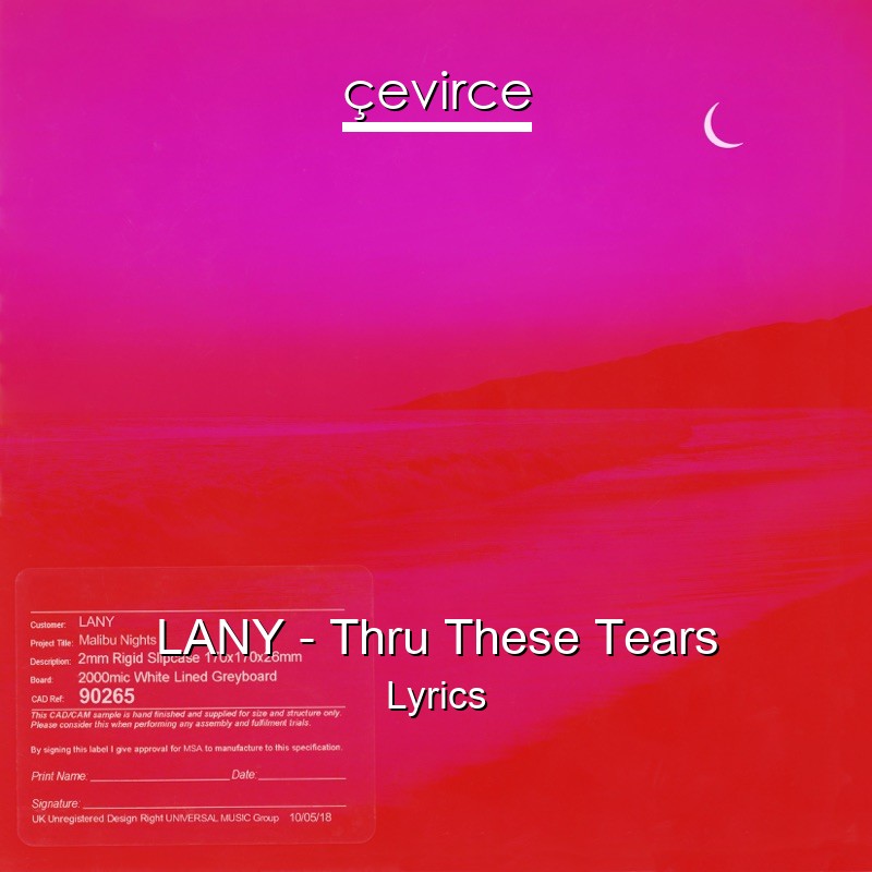 LANY – Thru These Tears Lyrics