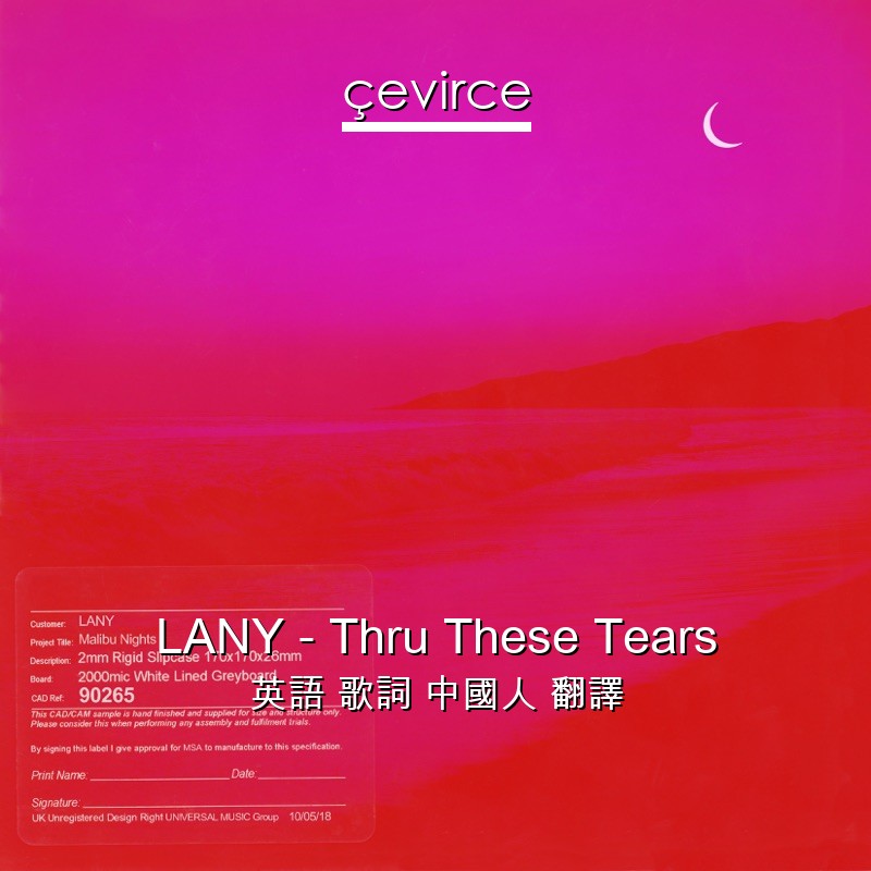 LANY – Thru These Tears 英語 歌詞 中國人 翻譯