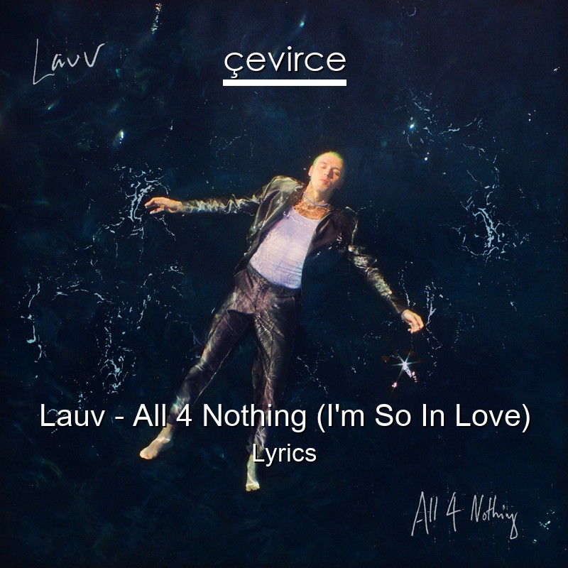 Lauv – All 4 Nothing (I’m So In Love) Lyrics