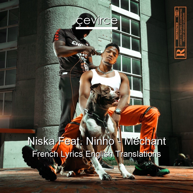 Niska Feat. Ninho – Méchant French Lyrics English Translations