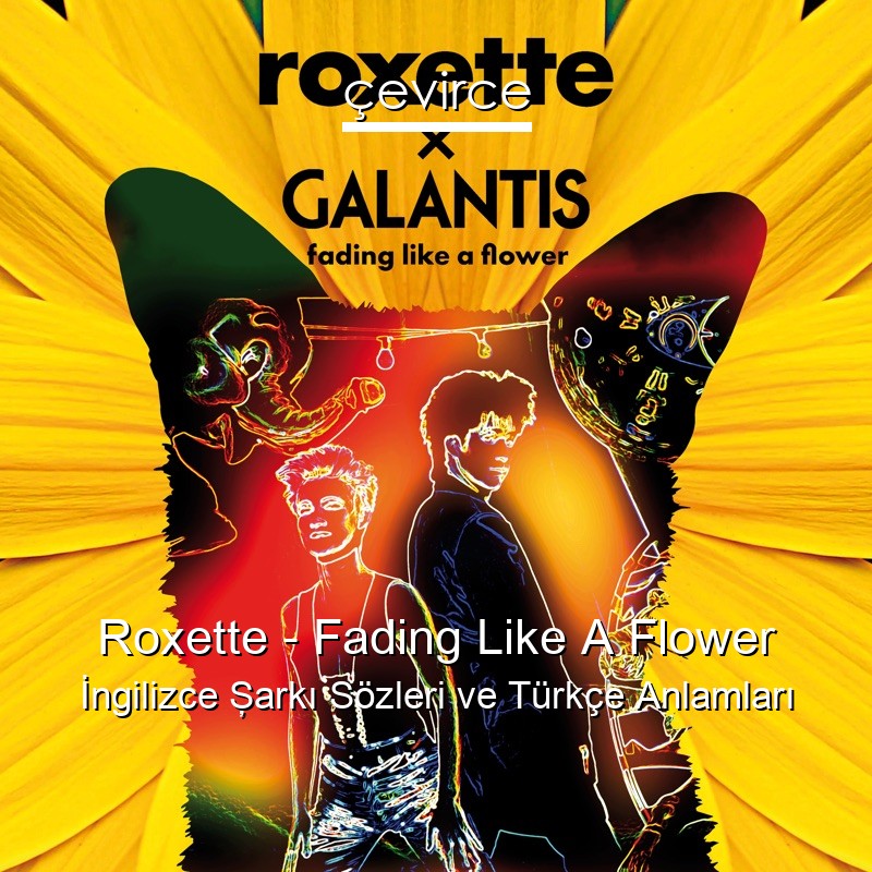 Roxette – Fading Like A Flower İngilizce Şarkı Sözleri Türkçe Anlamları