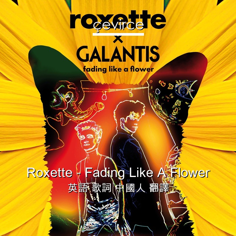 Roxette – Fading Like A Flower 英語 歌詞 中國人 翻譯