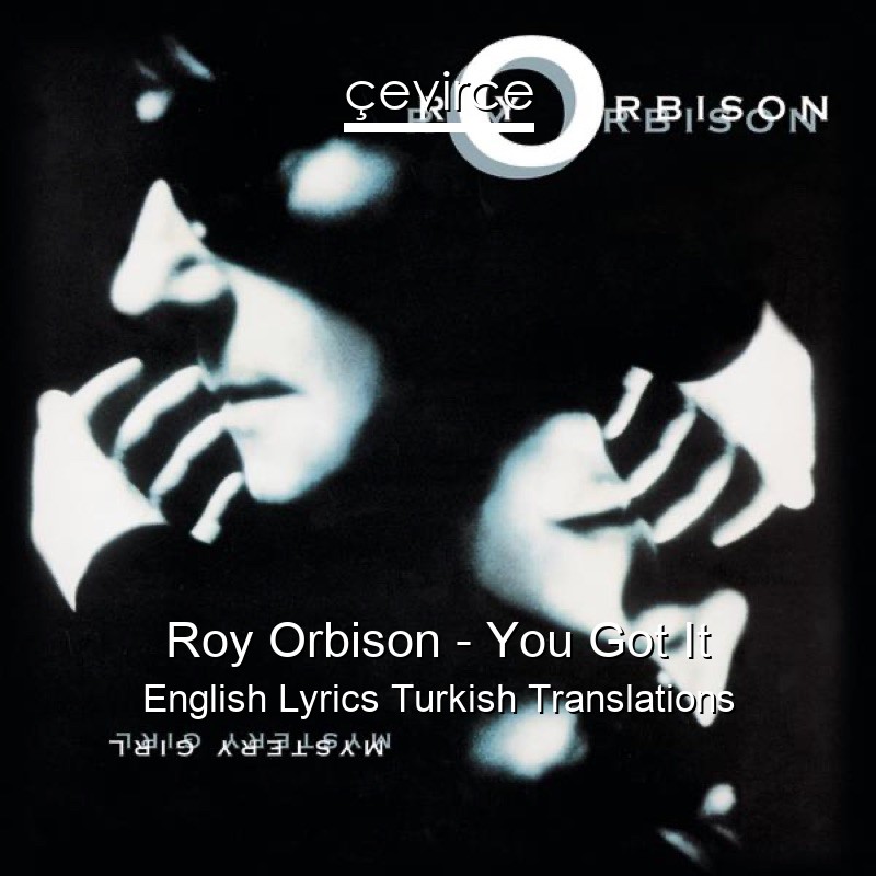 Roy Orbison – You Got It English Lyrics Turkish Translations