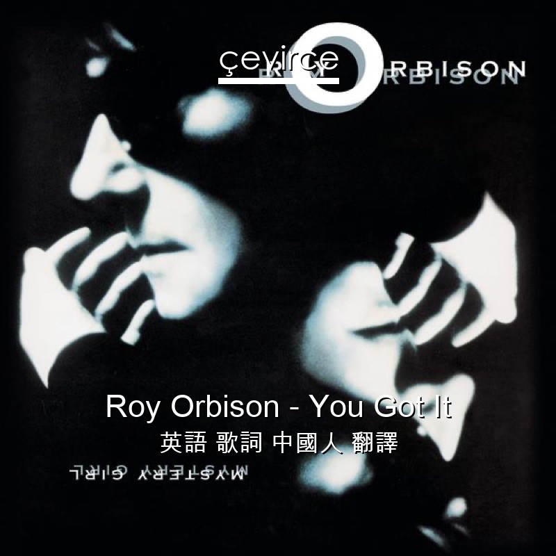 Roy Orbison – You Got It 英語 歌詞 中國人 翻譯