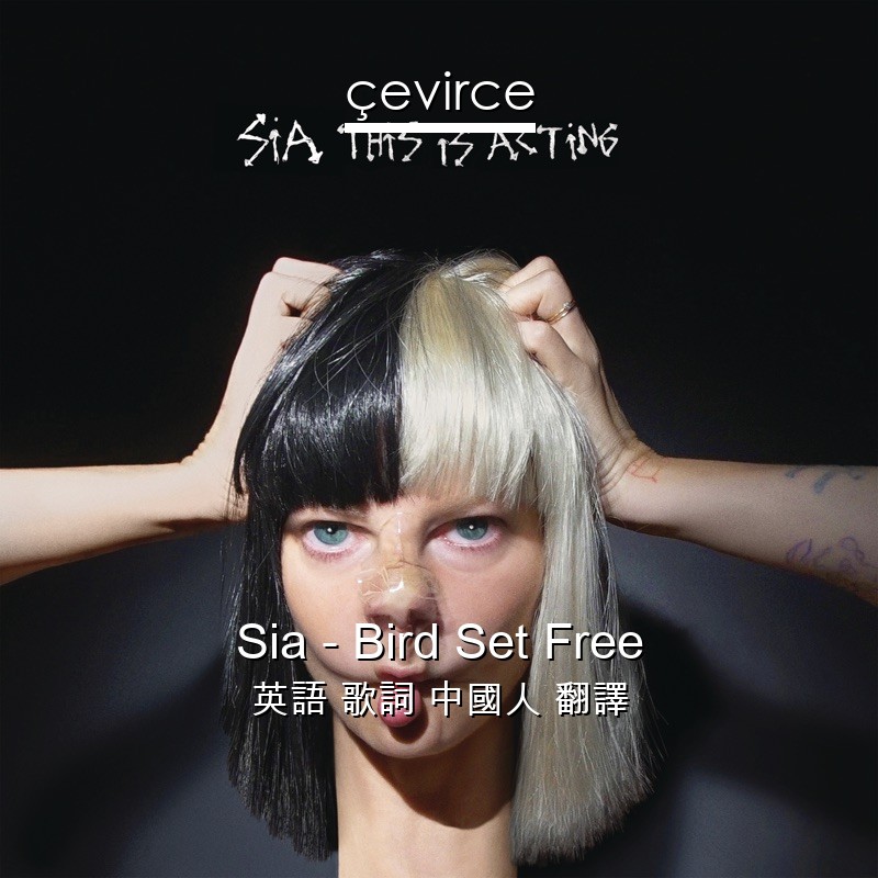 Sia – Bird Set Free 英語 歌詞 中國人 翻譯