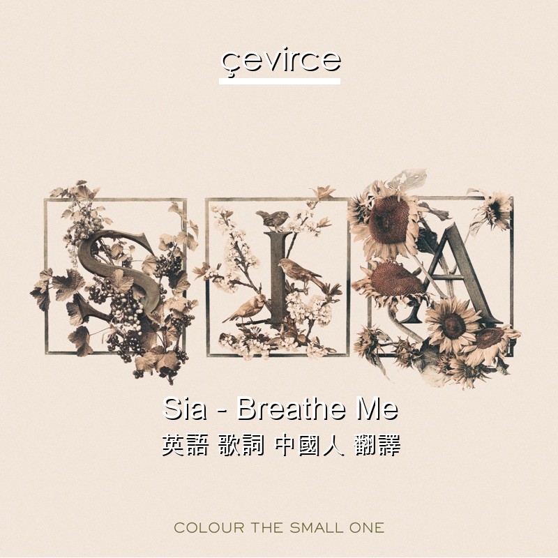 Sia – Breathe Me 英語 歌詞 中國人 翻譯