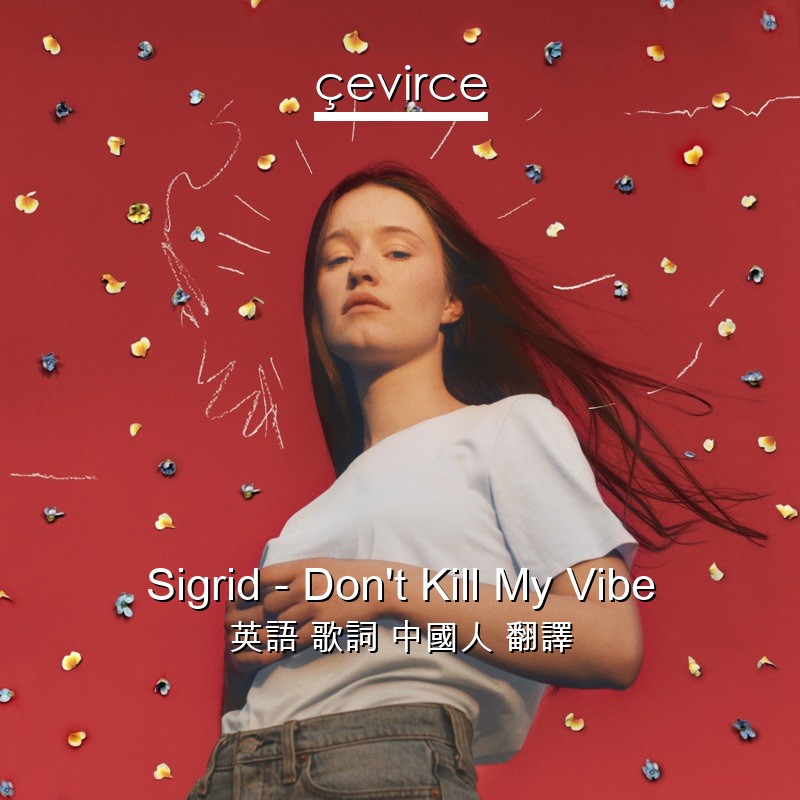 Sigrid – Don’t Kill My Vibe 英語 歌詞 中國人 翻譯